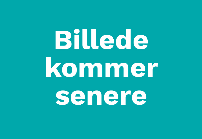 Billede kommer senere